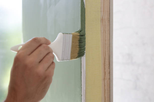 Trusted Boulder, CO Mold Removal Experts