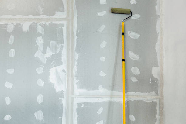 Best Forensic Mold Investigation  in Boulder, CO