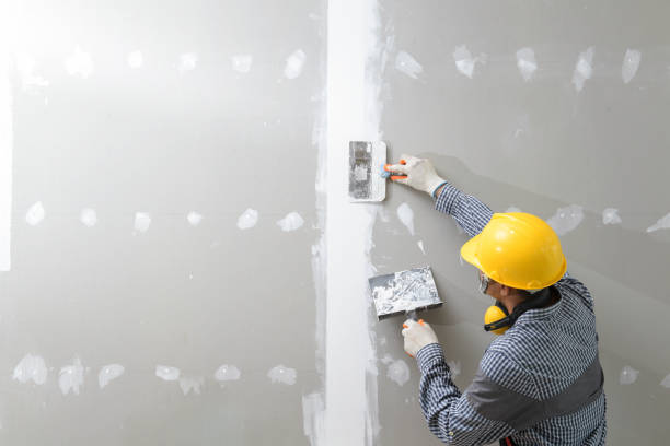 Best Mold Remediation for Healthcare Facilities  in Boulder, CO