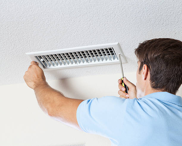 Best Biohazard Mold Removal  in Boulder, CO
