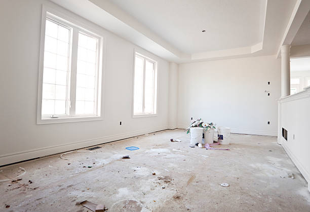 Best Water Damage & Mold Remediation  in Boulder, CO